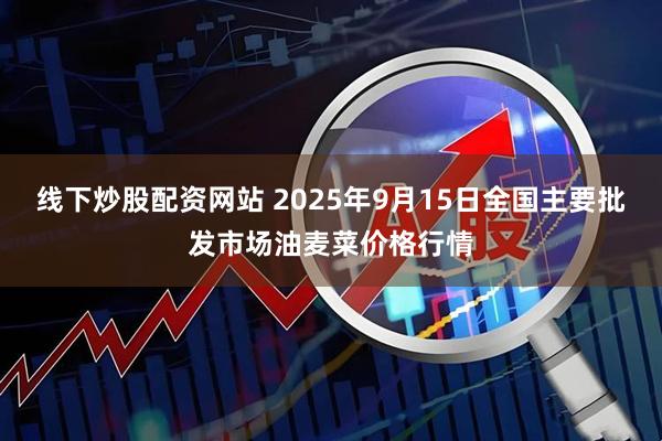 线下炒股配资网站 2025年9月15日全国主要批发市场油麦菜价格行情